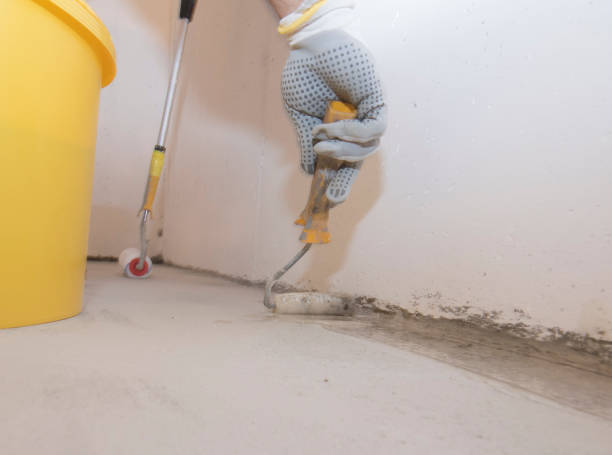 Best Pest Exclusion Services  in Tell City, IN